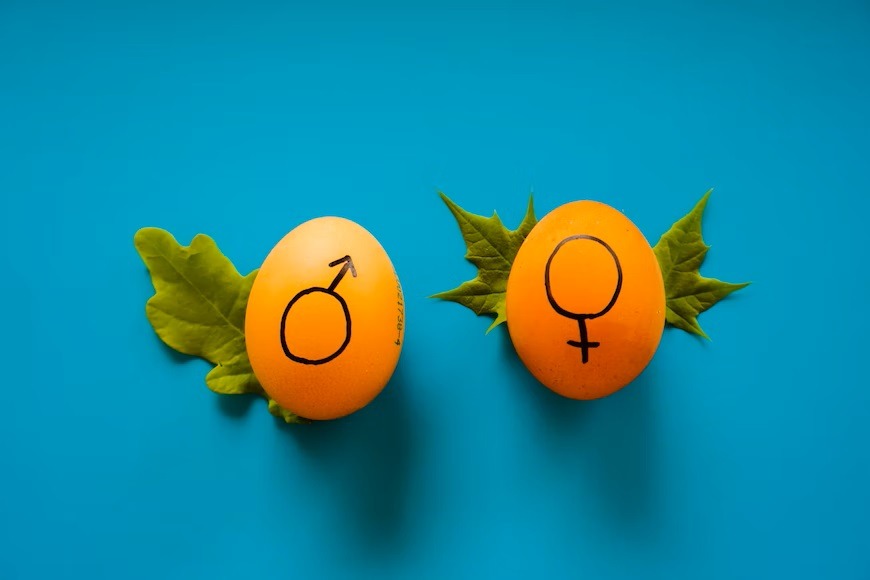 Gender Mainstreaming und die Aufgaben