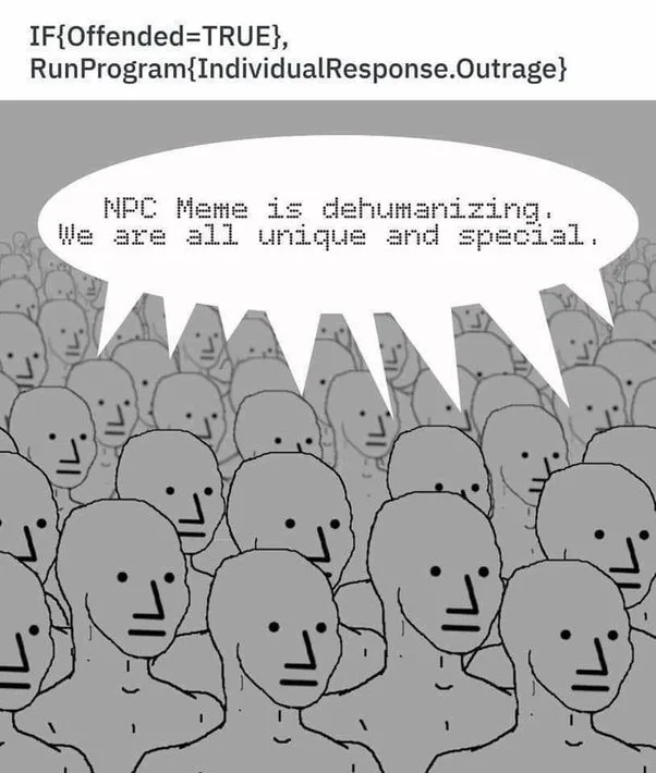 NPC Bedeutung MEME